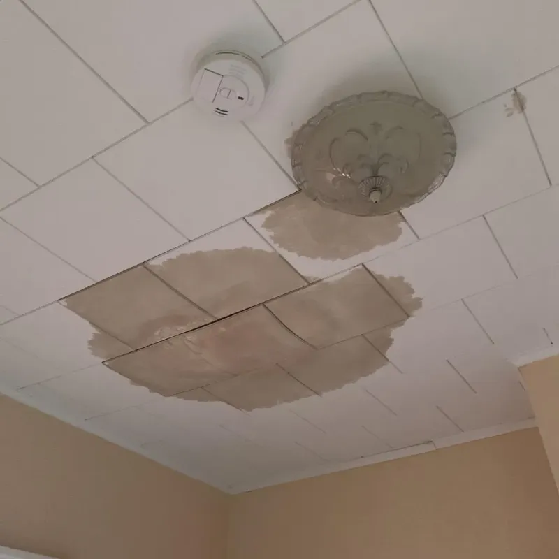 Ceiling Water Damage Repair in Mount Gay-Shamrock, WV