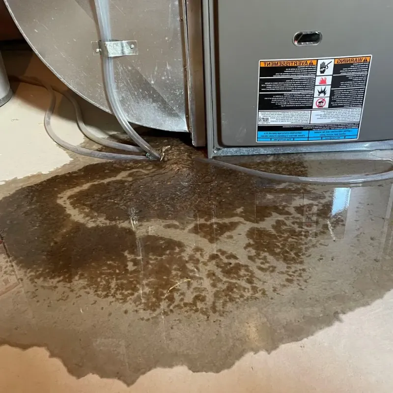 Pipe Burst and Leak Restoration in Mount Gay-Shamrock, WV