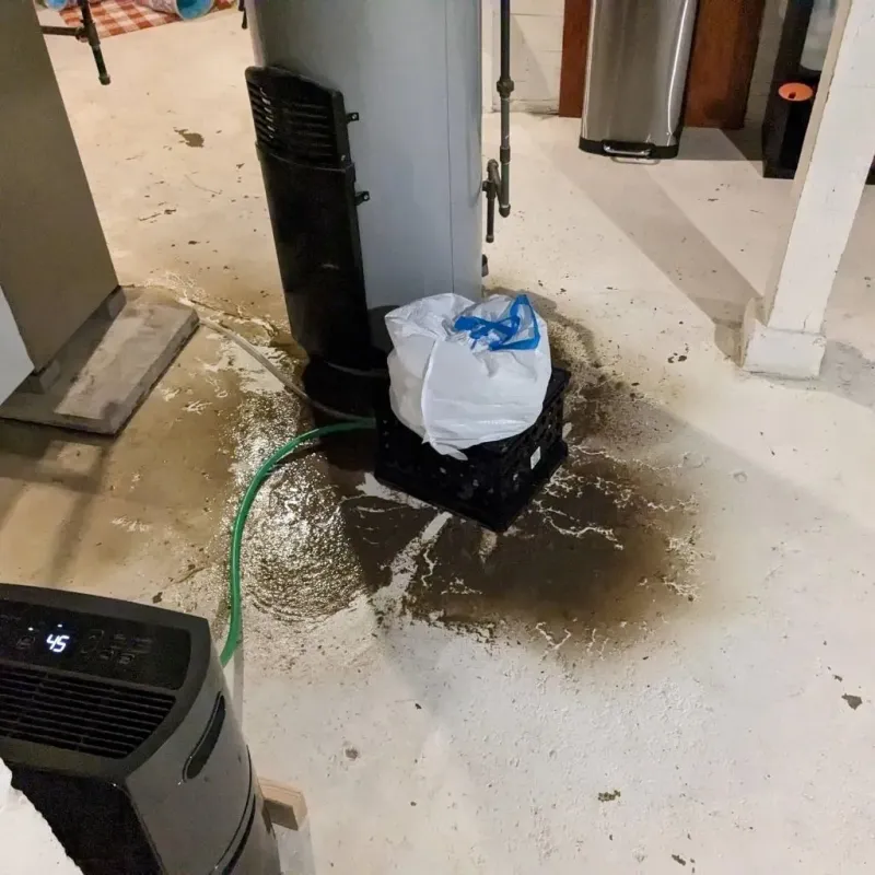 Sewage Backup Cleanup Service in Mount Gay-Shamrock, WV